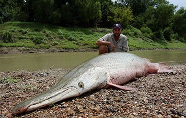 Photo:  river monsters 4